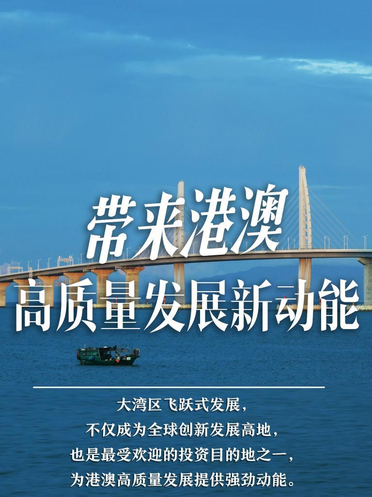 解析澳门正版挂牌灯牌，展望未来的创新与落实策略,2025新澳门正版免费挂牌灯牌:精选解释解析落实