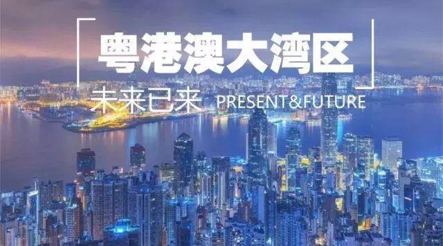 探索未来的新澳门与香港，关于2025年全年免费资料大全的全面释义与解析,2025年新澳门和香港全年免费资料大全,全面释义、解释与落.