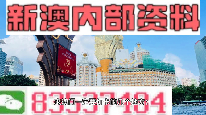 探索未来的澳门与香港，实用释义与精准免费资料大全（2025年展望）,2025年新澳门和香港和香港精准免费资料大全——实用释义