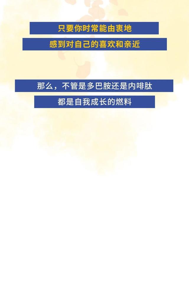 关于澳门精准免费大全的探讨——一篇文章解读背后的真相与意义,2025年新澳门精准免费大全,全面释义与解释 - 2025热文 -