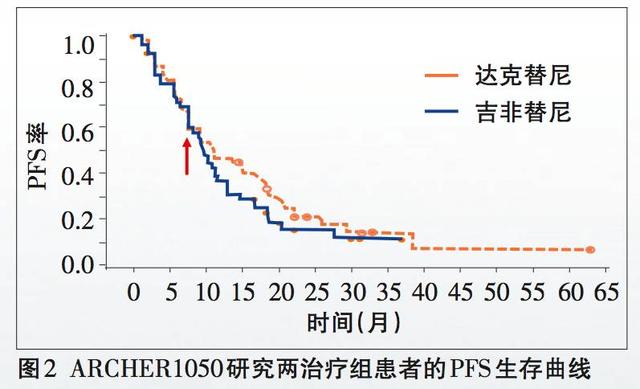 探究未来澳门免费精准资讯大全，展望与落实策略,2025年新澳门天天免费精准大全,全面释义解释与落实展望